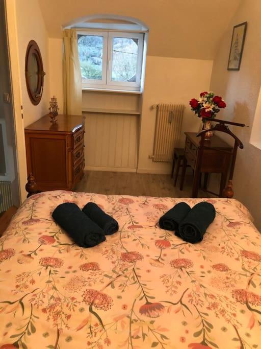 Appartement Rdc Dans Jolie Parc Arbore Beure Luaran gambar